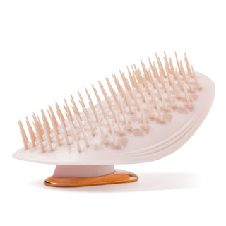 Healthy Hair Brush