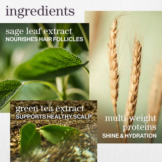 Hydrate Conditioner For Dry Hair