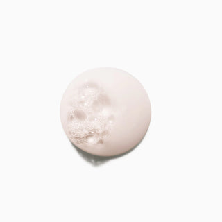 Chroma Absolu Shampoo for Colour-Treated Hair