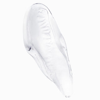 Chroma Absolu High Shine Gloss Treatment for Colour-Treated Hair