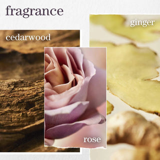 Color Fanatic Heat Protectant Leave-In Conditioner