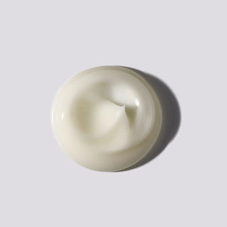 Essence Absolue Overnight Nourishing Hair Treatment