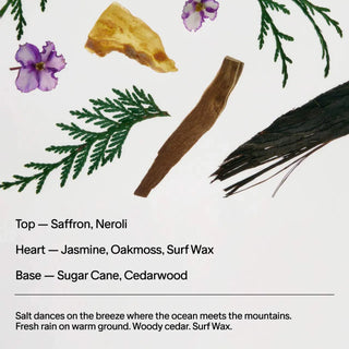 Saffron & Cedar Candle